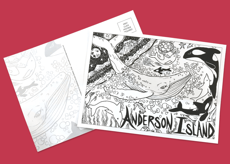 Whales - Greeting Card and Postcard by Anderson Island artist Shawn McCabe